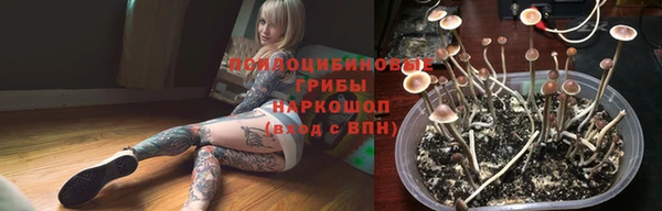 дживик Арсеньев