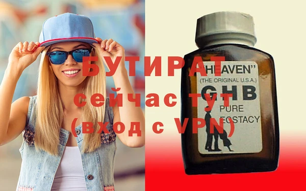 мдпв Ельня