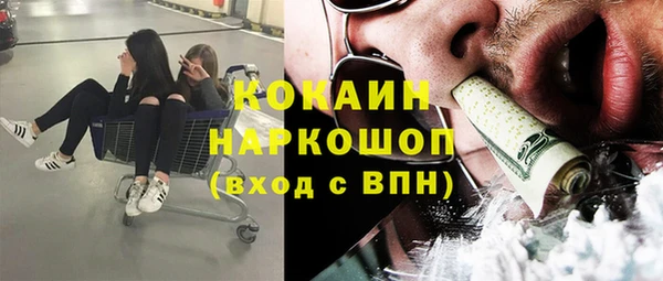 дживик Арсеньев