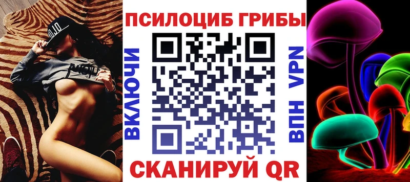 Галлюциногенные грибы Psilocybe  Удомля 